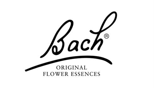 Bach bloesems