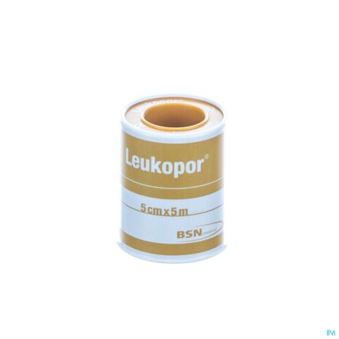 Leukopor Fourreau Sparadrap 500cmx50m 1 0247400
